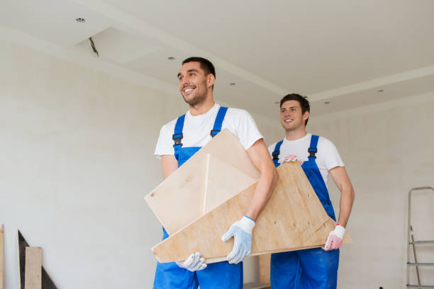 Best Furniture Removal  in Northdale, FL